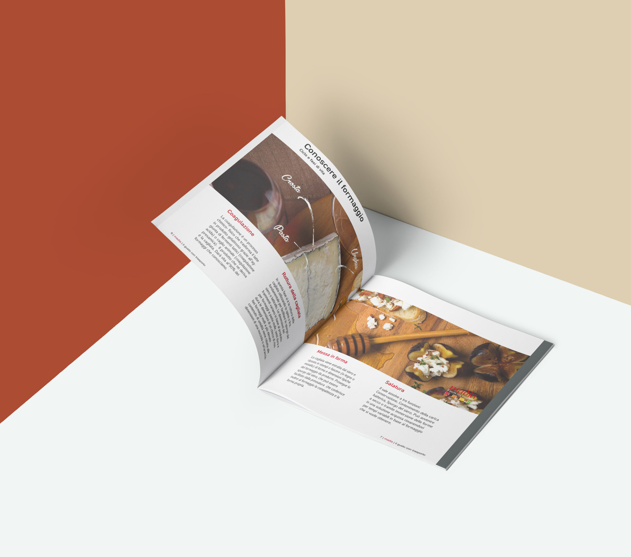 Madia Spa catalogo formaggi