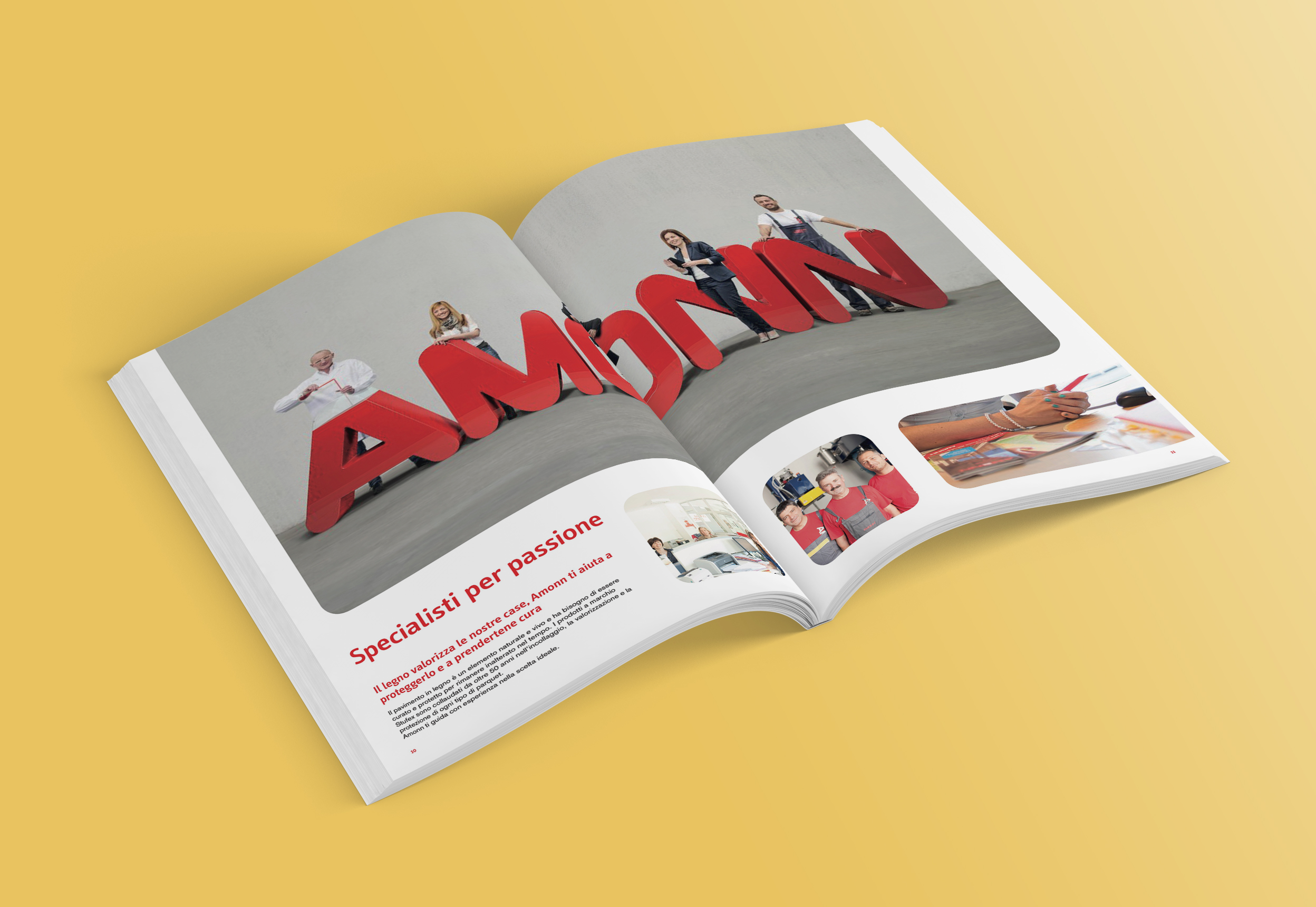 Amonn color catalogo