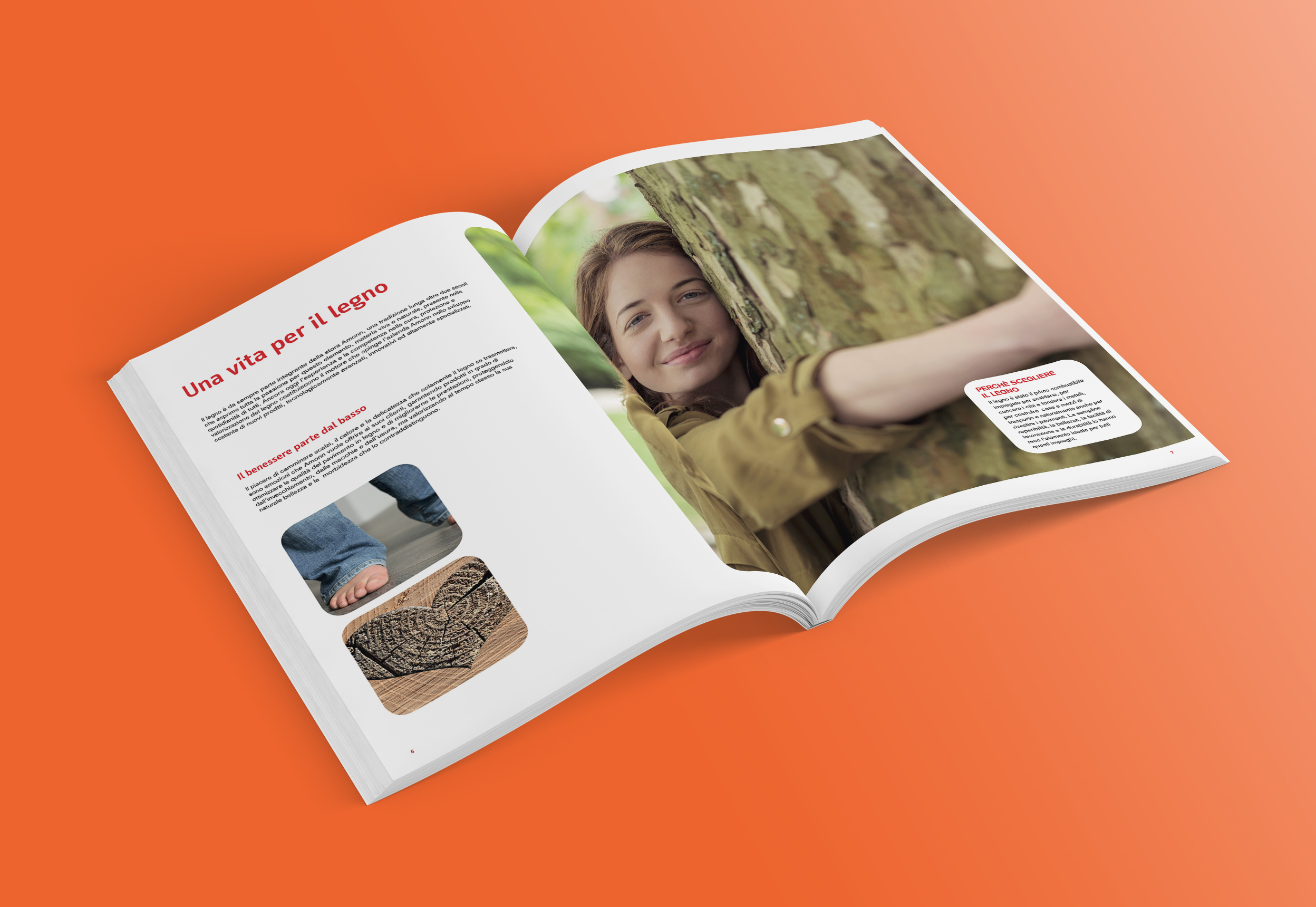 Amonn color catalogo